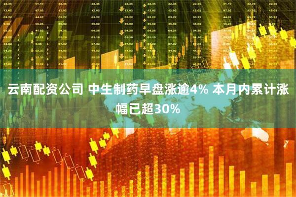 云南配资公司 中生制药早盘涨逾4% 本月内累计涨幅已超30%